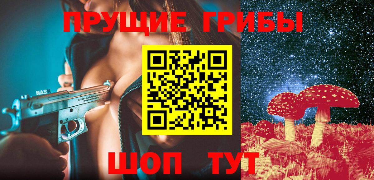 Псилоцибиновые грибы прущие грибы Камень-на-Оби